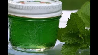 Easy Mint Jelly Recipe