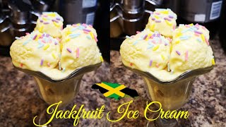 HOW TO MAKE JAMAICAN JACKFRUIT ICE CREAM | Vegan vegetarian friendly