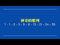 唔識選馬，都可贏錢嘅投注系統？拆解神奇數字投注法 fibonacci 真係咁正定係騙局？ 賽馬攻略