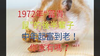 1972年“富貴鼠”的後半輩子，中年起富到老！你家有嗎？