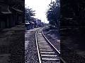 Rel kereta aktif kembali,setelah bertahun tahun gk aktif.#gresik #keretaapi #shortvideo