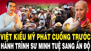 Việt Kiều Mỹ PHÁT CUỒNG Trước Hành Trình Bộ Hành Của Sư Minh Tuệ Sang Ấn Độ