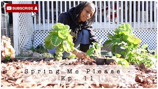 Spring Me Please - Ep 11 | Mini Tour | Cool Crops | More Weeds (One Parsley Plant Was Harmed)