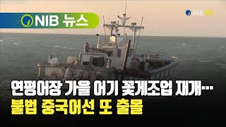 [NIB 뉴스] 연평어장 가을 어기 꽃게조업 재개… 불법 중국어선 또 출몰