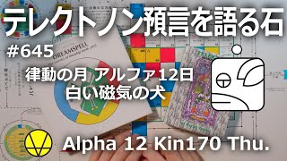 【テレクトノン預言を語る石】645・TELEKTONON 6.12・律動の月・Alpha アルファ12日・白い磁気の犬・Kin170・青い律動の嵐の年 #新しい時間のチャンネル #13の月の暦