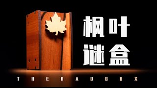 2步就能解开的神秘魔术盒，我竟然花了30分钟?【The Radbox】