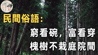 俗語：窮看碗富看穿，槐樹不栽庭院間 |為什麼從吃飯就能看出來一個人是窮命還是富命？窮命之人有什麼的特徵？古人的經驗之談，你不得不看 |佛禪