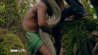 TRIBES ANIMALS ME BBC EARTH