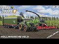 Silage harvest with MrsTheCamPeR 🇳🇱 | Animals on Hollandscheveld | Farming Simulator 19 | Episode 3