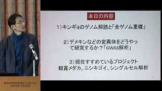 キンギョのゲノム解読と変異体のGWAS解析～デメキンの眼はなぜ飛び出ているのか～