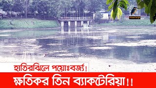 ২৮০টি ড্রেন দিয়ে পয়োঃবর্জ্য মেশে হাতিরঝিলের পানিতে | Maasranga News