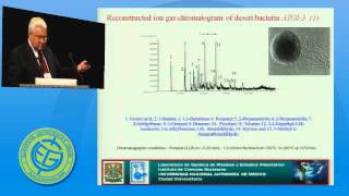 EGU2009: Mars-Like Soils in the Atacama Desert, Chile (Alexander von Humboldt Medal Lecture)