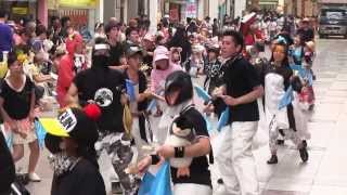 高知よさこい祭り2013　一日目　Summer PenguinS　帯屋町競演場