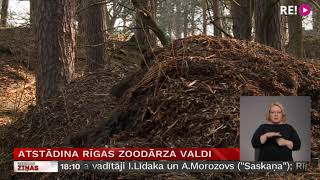 Atstādina Rīgas zoodārza valdi