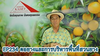 EP234 คลินิกเกษตร ตอยางและการบริหารพื้นที่สวนยาง