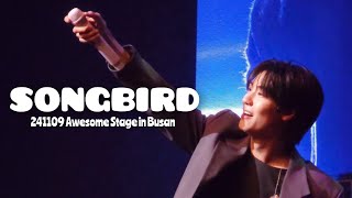 [4K 승협 직캠] 241109 어썸 스테이지 - SONGBIRD | 엔플라잉 N.Flying | Seunghyub Focus