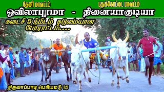 பெரியமாடு திருவாப்படி புதுக்கோட்டை(மா) ||17-01-2022|| periyamaadu thiruvappadi ksk reckla race krish