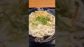 愛媛のうどんから始める物語！ 190杯目 ～はなまるうどん～ #shorts