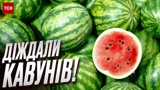 🍉 Перші кавуни в магазинах! Яка ціна та чи будуть херсонські?