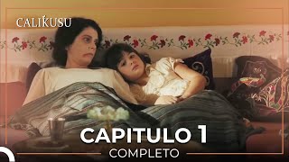 Calikusu 1 Capítulo