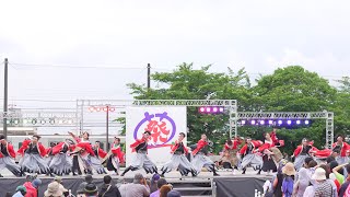 [4K] 心笑　犬山踊芸祭 2024 日曜日