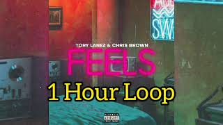 Tory Lanez ft. Chris Brown - Feels (1 Hour Version)