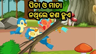 pita mata nathile kan hua ||  odia bird story || odia gapa || odia storise || aimaa gapa