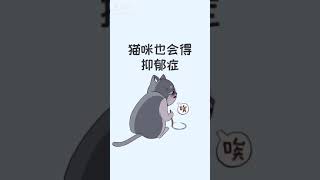 王多喵:  猫咪也会得抑郁症，你最近有关心过它吗？