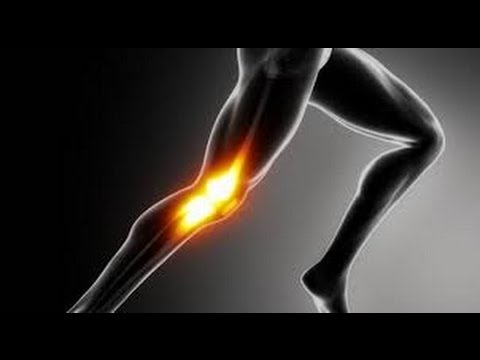 Best Home Leg Exercises To Get Faster, Quicker, And Stronger Best Home Leg Exercises To Get Faster, Quicker, And Stronger
