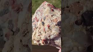 #rock Pudding stone from Iowa cornfield.