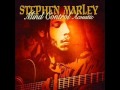 Stephen Marley - You're Gonna Leave (Acoustic)