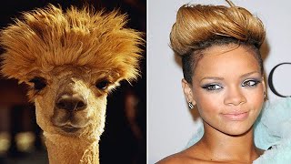 Celebrities With Their Animals Doppelgangers |