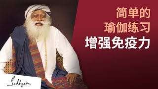 Simha Kriya瑜伽练习 —— 提升免疫力、增加肺活量｜Sadhguru 萨古鲁