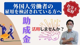 （令和４年度版）人材確保等支援助成金（外国人労働者就労環境整備助成コース）について徹底解説いたします♪