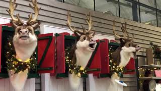 Singing Raindeers Cadbury Garden Centre