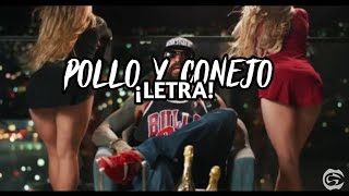 POLLO Y CONEJO (LETRA) | CARTEL DE SANTA (CENSURADO).