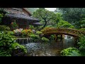 get rid of insomnia with rain in japanese zen garden 🍀 rain sound for sleep relax u0026 reduce stress