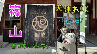 愛犬と行く秋の篠山