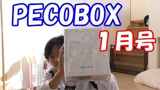 ペコボックス買ってみた　【PECOBOX】