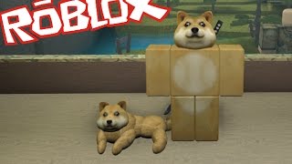 Roblox Doge Videos Ytubetv - roblox noob vs pro vs rich videos ytubetv