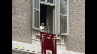 THE VIDEO OF POPE'S ANGELUS OF 26.02.2012