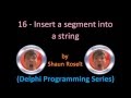 Delphi Programming Series: 16 - Insert a segment into a string
