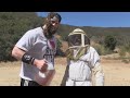 dude drinks a gallon of honey while covered in bees warning vomit alert