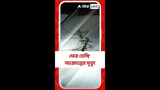 কলকাতায় ফের ডেঙ্গি আক্রান্তের মৃত্যু