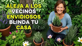 Limpia tu Casa de Energías Negativas con Estas 6 Plantas Sagradas 🌿🔥