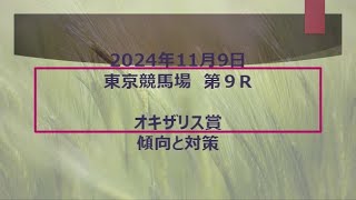 2024年11月9日　東京競馬9R　オキザリス賞の傾向と対策