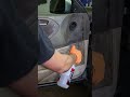 watch how mold is removed from this car. cardetailing