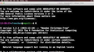 ACCRE Pizza and Programming: Parallel Processing in R