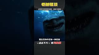 深海未知生物：满嘴獠牙以鲸鱼为食，这些深海巨兽长什么样子？