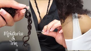 Moisturize And Trim REGIMEN For Dry NATURAL Hair // Samantha Pollack